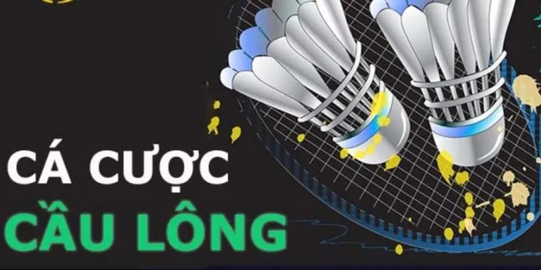 Bí Quyết Chơi Cá Cược Cầu Lông Tại 9Club Luôn Thắng 2 Bí Quyết Chơi Cá Cược Cầu Lông Tại 9Club Luôn Thắng