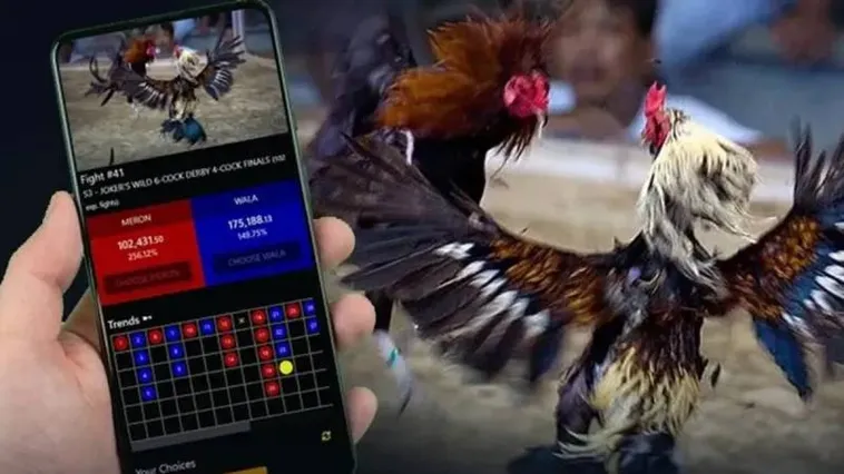 Đá Gà 9Club Đỉnh Cao Trải Nghiệm Cá Cược Trực Tuyến